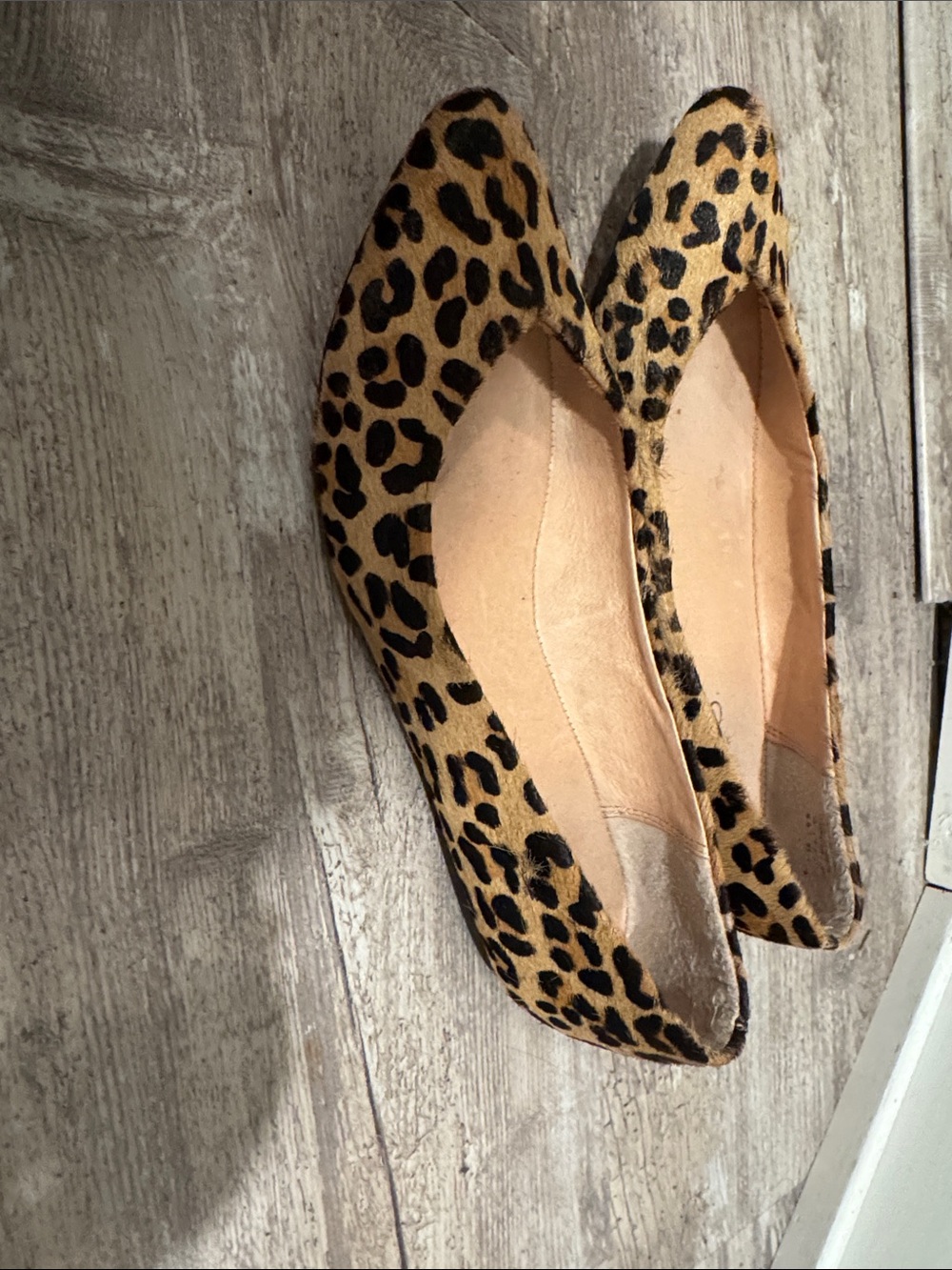 Aldo Leopard-Print Pointed Toe Flats in Tan and Black
